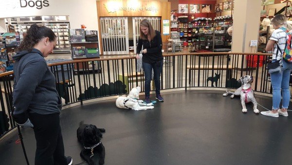 Happi Dawgs 1 resources