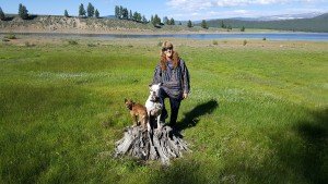 Happi Dawgs Patty Happi Dawgs Patty